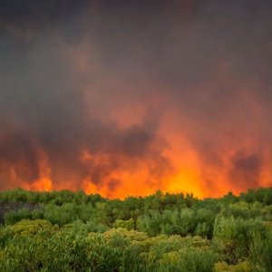 Gansbaai Verwoestende brand woed 2